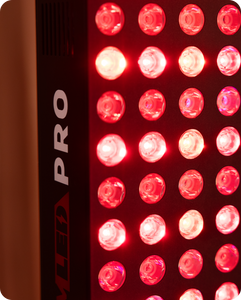 2x-biomax-pro-grande-+-grande_3